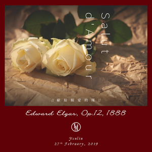 叔母义母光头最经典十首歌曲
