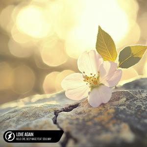 叔母义母光头最经典十首歌曲
