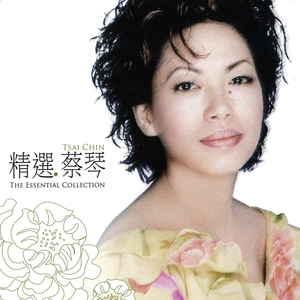 叔母义母光头最经典十首歌曲
