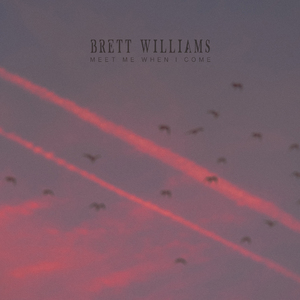 叔母义母光头最经典十首歌曲
