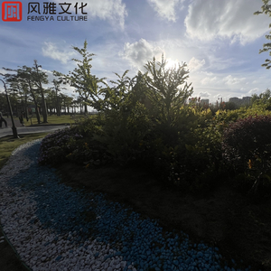 叔母义母光头最经典十首歌曲
